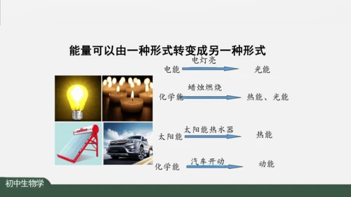 2.1.4  细胞的生活 课件（共26张PPT）