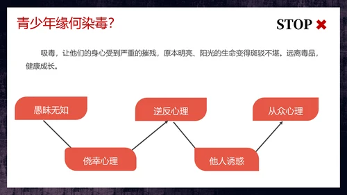 守护生命安全国际禁毒日通用PPT模板