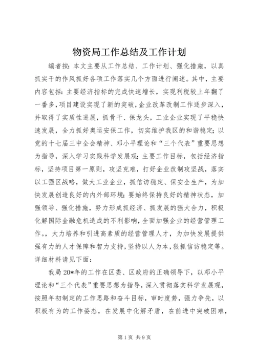 物资局工作总结及工作计划.docx