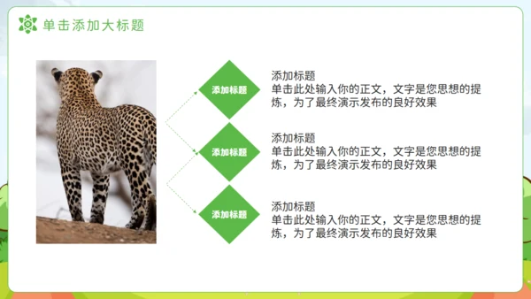 猎豹动物知识普及通用PPT模板