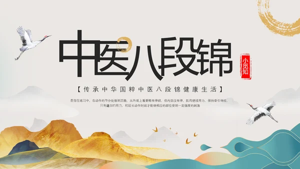 浅色中国风中医八段锦PPT模板宣传PPT动态PPT