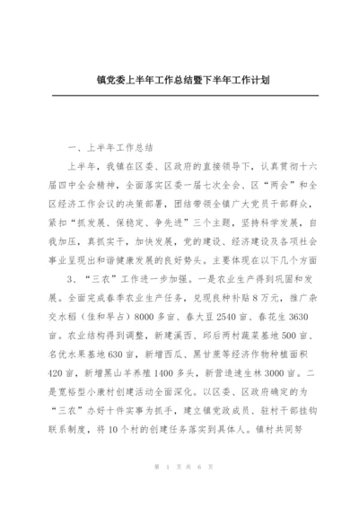 镇党委上半年工作总结暨下半年工作计划.docx
