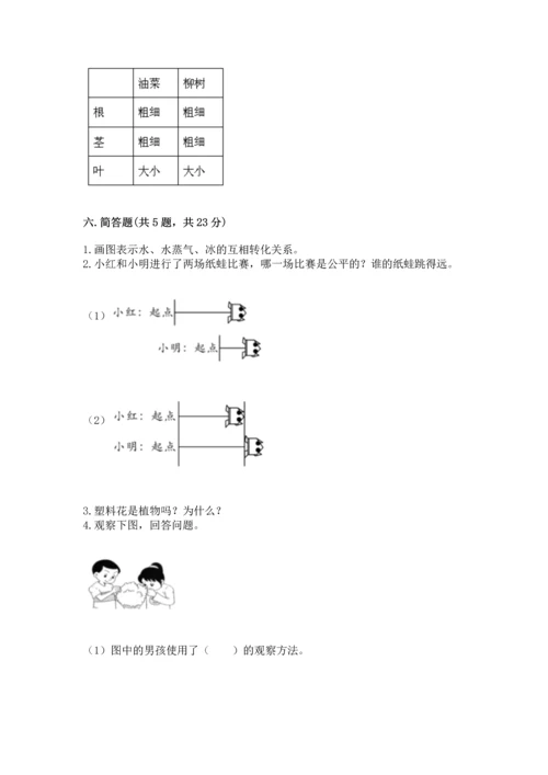 教科版一年级上册科学期末测试卷【轻巧夺冠】.docx