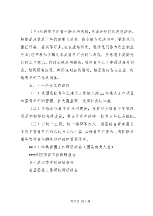 团委乡村青年汇工作调研报告 (6).docx