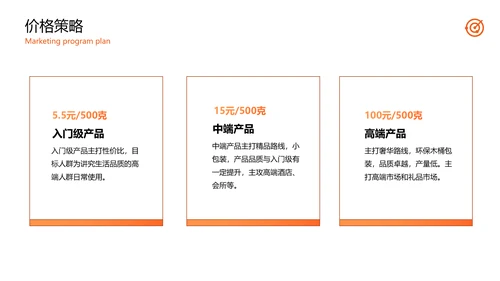 公司品牌营销方案计划PPT模板
