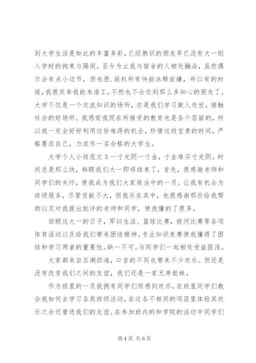 大学个人小结范文.docx