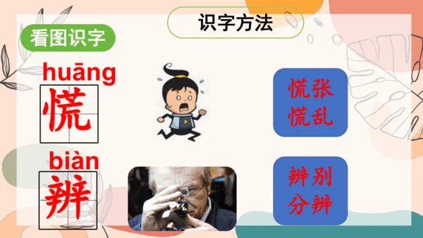 17 《要是你在野外迷了路》（第一课时)-  课件