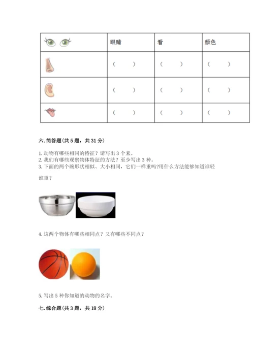 教科版小学科学一年级下册期末测试卷新版.docx