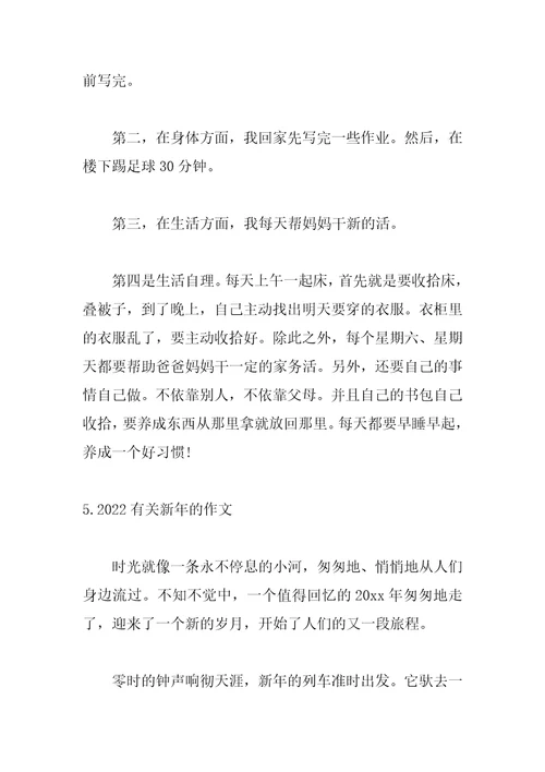 2022有关新年的作文精选10篇