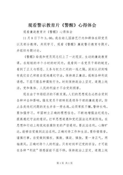 观看警示教育片《警醒》心得体会_2.docx