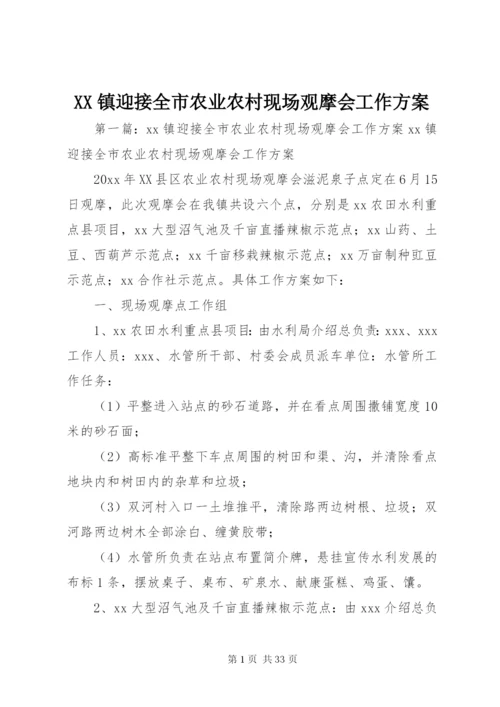 XX镇迎接全市农业农村现场观摩会工作方案.docx