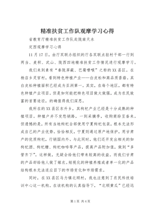 精准扶贫工作队观摩学习心得.docx