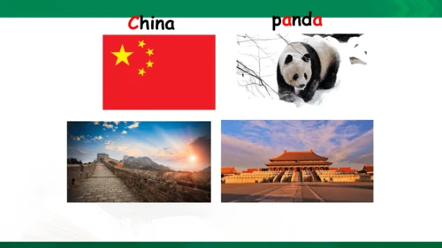 期中复习