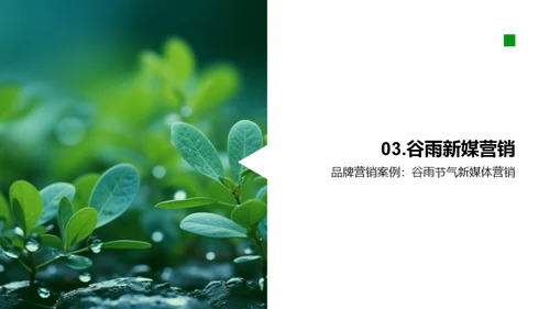 谷雨营销新媒体实战