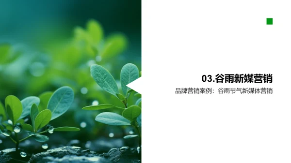 谷雨营销新媒体实战
