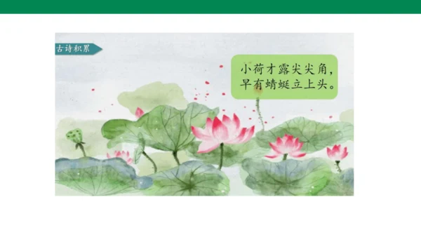 部编版小学语文三年级下册1.《古诗三首》第三课时-三衢道中