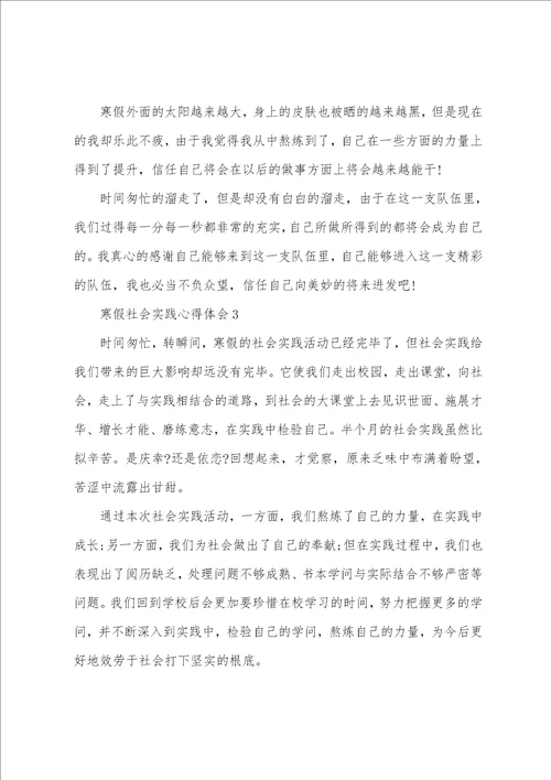 寒假社会实践个人心得体会五篇