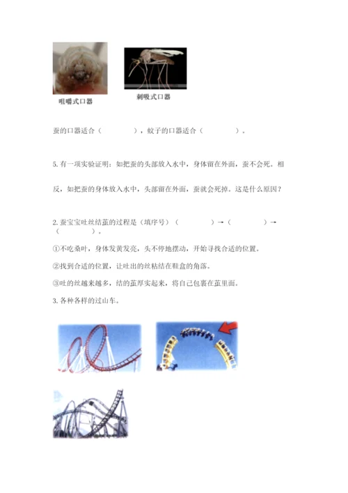 教科版科学三年级下册期末测试卷及答案【夺冠】.docx