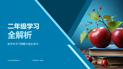 二年级学习全解析