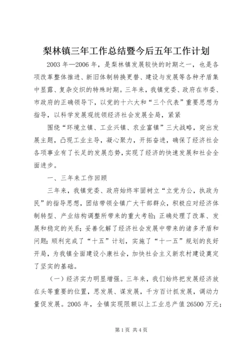 梨林镇三年工作总结暨今后五年工作计划 (8).docx