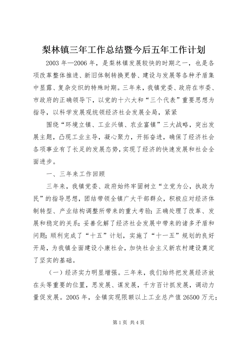 梨林镇三年工作总结暨今后五年工作计划 (8).docx