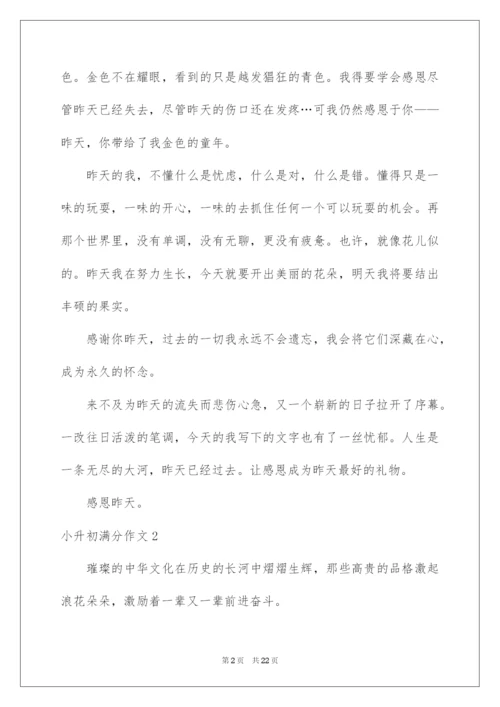 2022小升初满分作文(通用15篇).docx