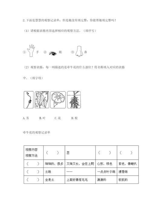 教科版一年级上册科学期末测试卷精品【黄金题型】.docx