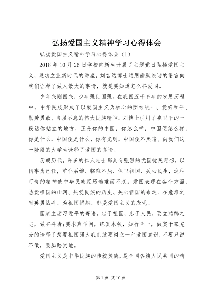 弘扬爱国主义精神学习心得体会.docx