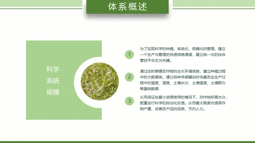 智慧农业耕地粮田通用PPT模板