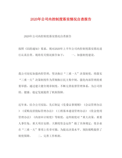 精编年公司内控制度落实情况自查报告.docx