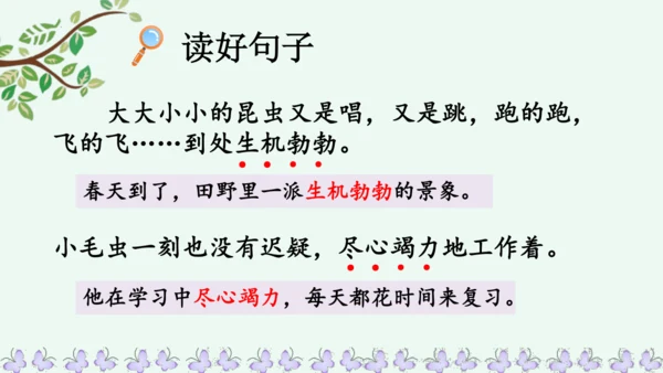 22小毛虫  课件