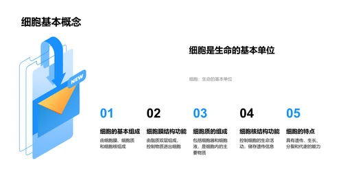 细胞学基础讲解