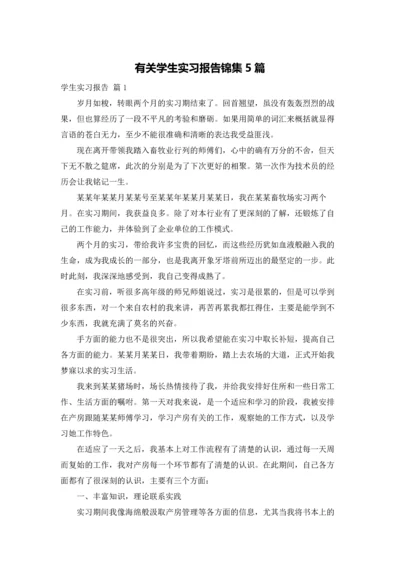 有关学生实习报告锦集5篇.docx