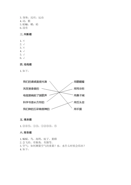 教科版一年级下册科学期末测试卷精品（突破训练）.docx