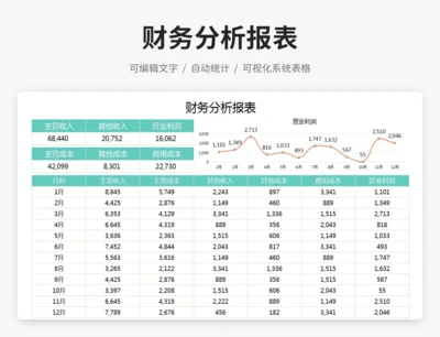 财务分析报表