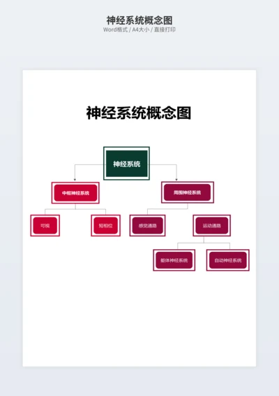 神经系统概念图