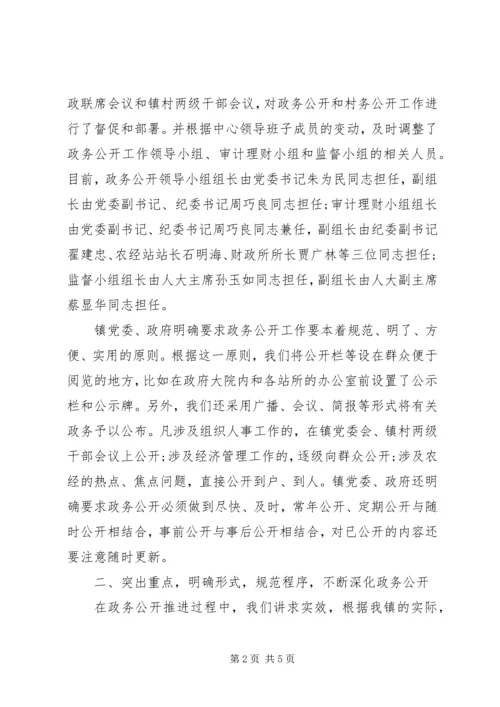 乡镇政务公开工作总结范文.docx