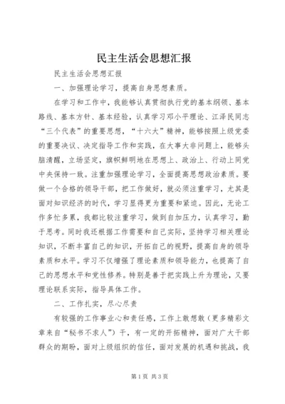 民主生活会思想汇报 (9).docx