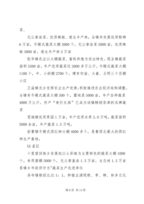 蔬菜大棚实施方案 (2).docx