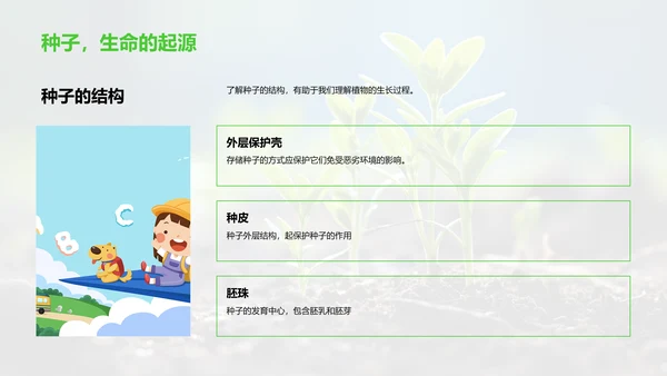 植物生命之旅