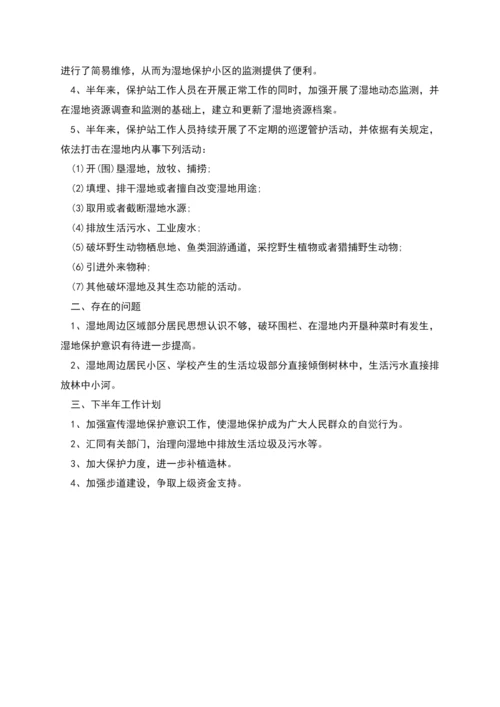 湿地保护工作总结.docx