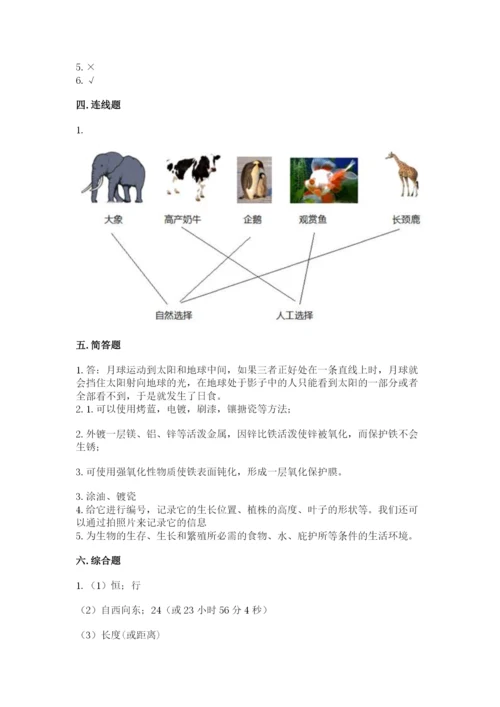 教科版科学六年级下册期末测试卷【夺冠系列】.docx