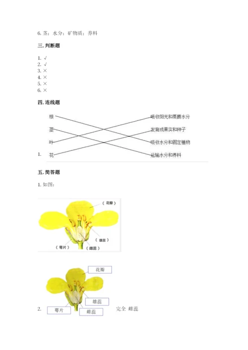 教科版四年级下册科学第一单元《植物的生长变化》测试卷及答案【夺冠】.docx