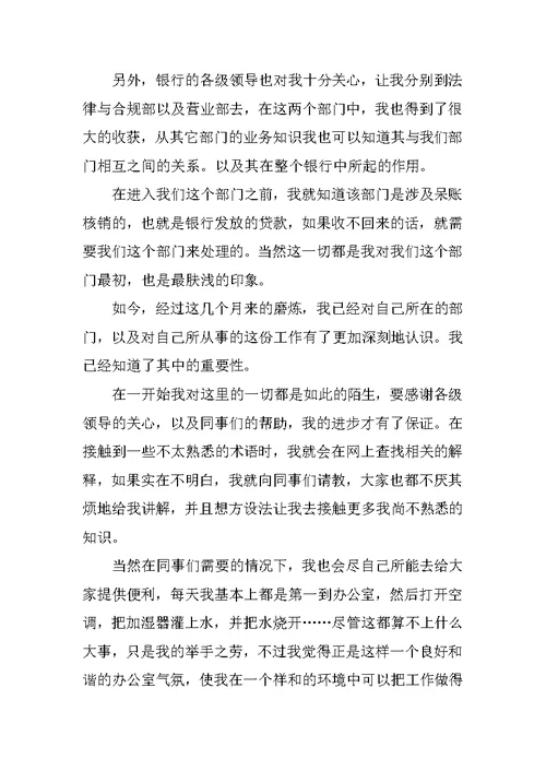 银行新员工试用期工作总结范文