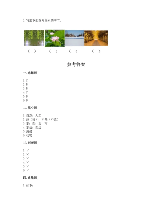 教科版二年级上册科学期末测试卷带答案（黄金题型）.docx