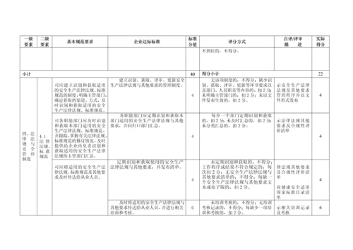 XX公司安全生产标准化自评表.docx