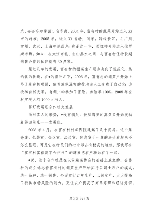富有村党支部书记先进事迹材料.docx