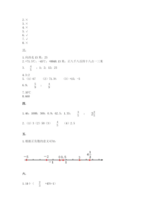 苏教版六年级数学小升初试卷【夺冠系列】.docx