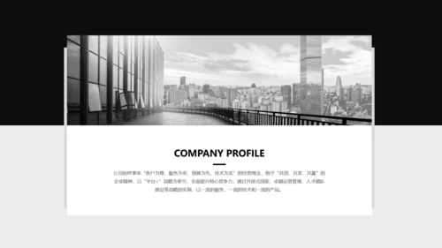 黑灰商业计划项目简介PPT模板