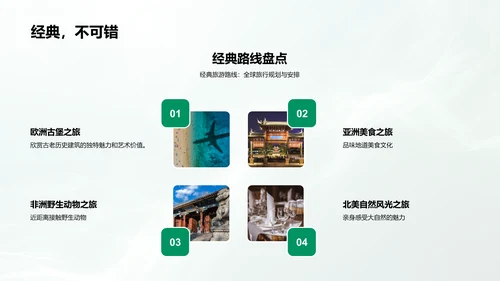 旅游业务年度报告